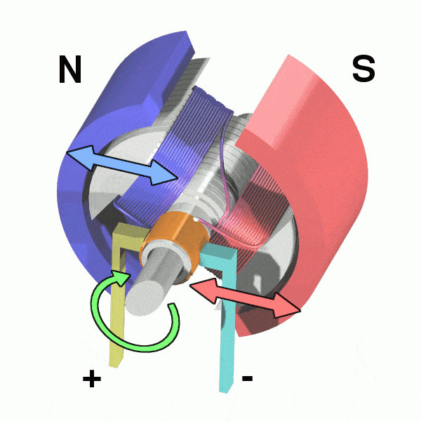 Internal components of the electric motor راستان کالا